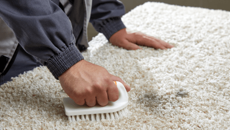 Professional Rug Cleaning Arthurs Seat