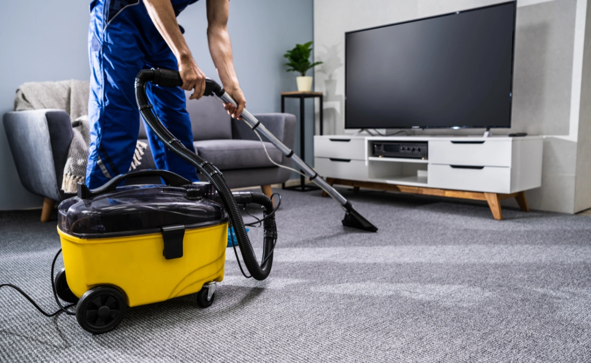 Extract Rug Cleaning Arthurs Seat Contact Office